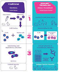 ZooMAb® Recombinant Antibody Technology